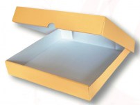 sc_autom_pg17giu_MO_giallo_crema_700x529
