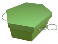 sc_col_esag_MO_verde_800x609