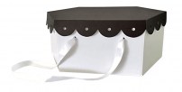 sc_col_esag_sweet_marrone_bianco_800x405
