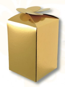 sc_pan_mini_CT_oro(1)_446x600